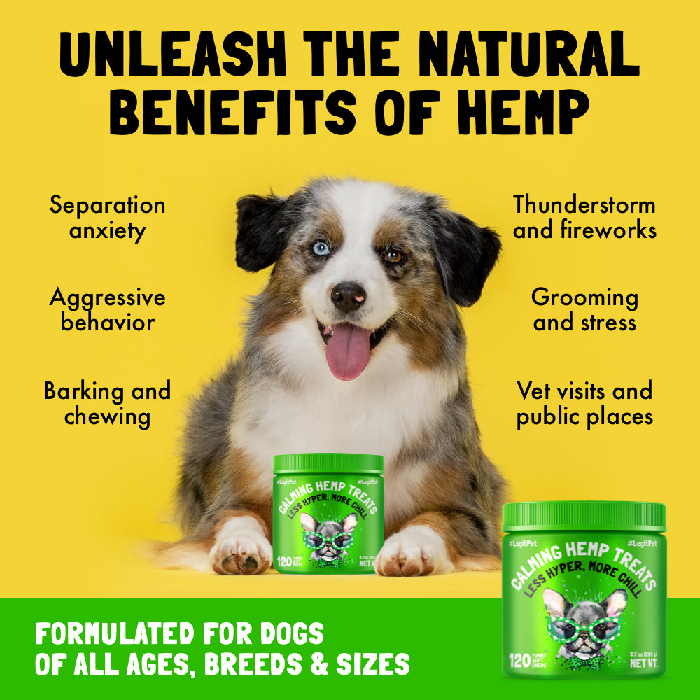 Calming Hemp Treats for Dogs with Chamomile
