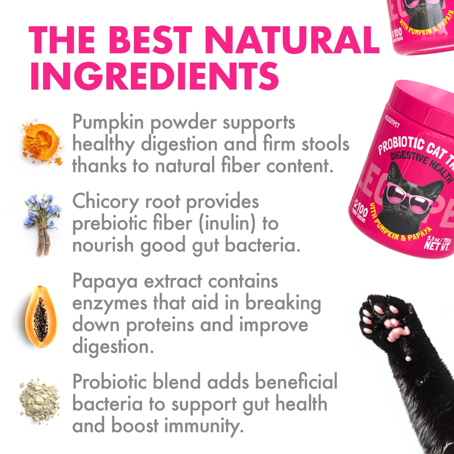 Probiotic Cat Treats Digestive Support with Pumpkin & Papaya