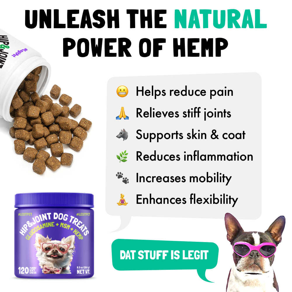 Hip & Joint Chews for Dogs 🐶