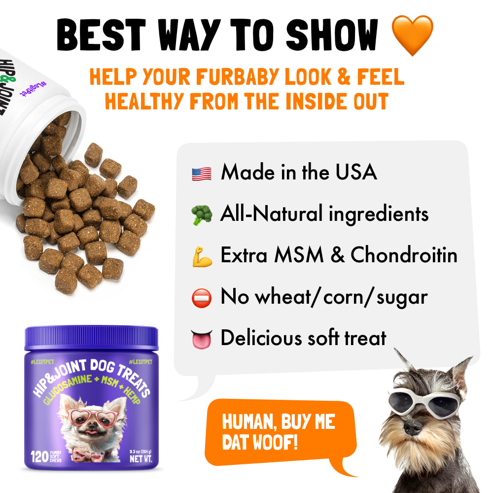 Hip & Joint Chews for Dogs 🐶