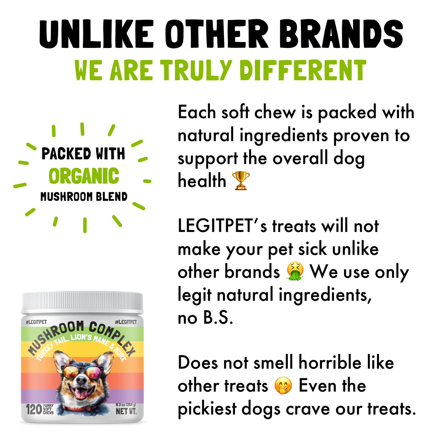 Mushroom Complex Treats for Dogs with Reishi Shiitake and Turkey Tail Mushrooms