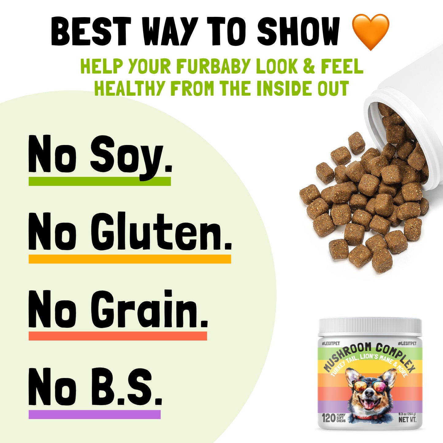 Mushroom Complex Treats for Dogs with Reishi Shiitake and Turkey Tail Mushrooms