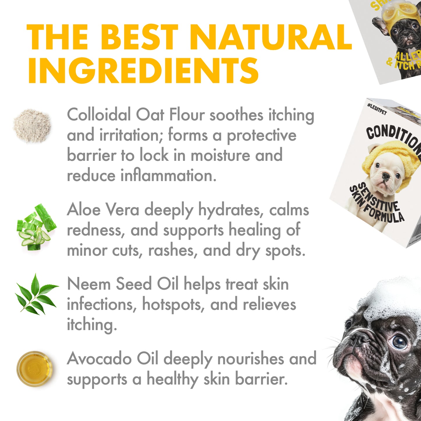 Oatmeal Dog Shampoo & Conditioner Itch & Allergy Relief