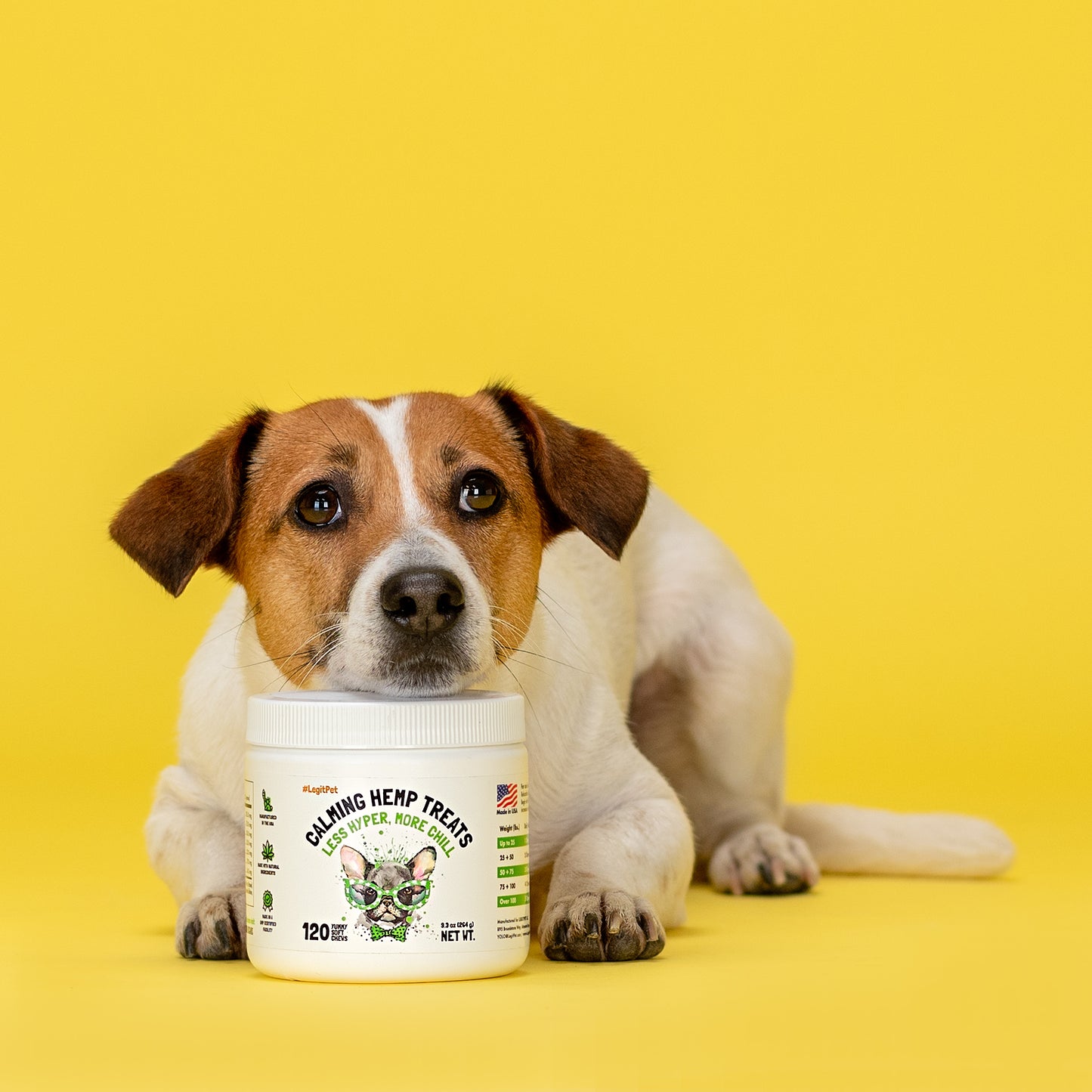 Calming Hemp Treats for Dogs with Chamomile