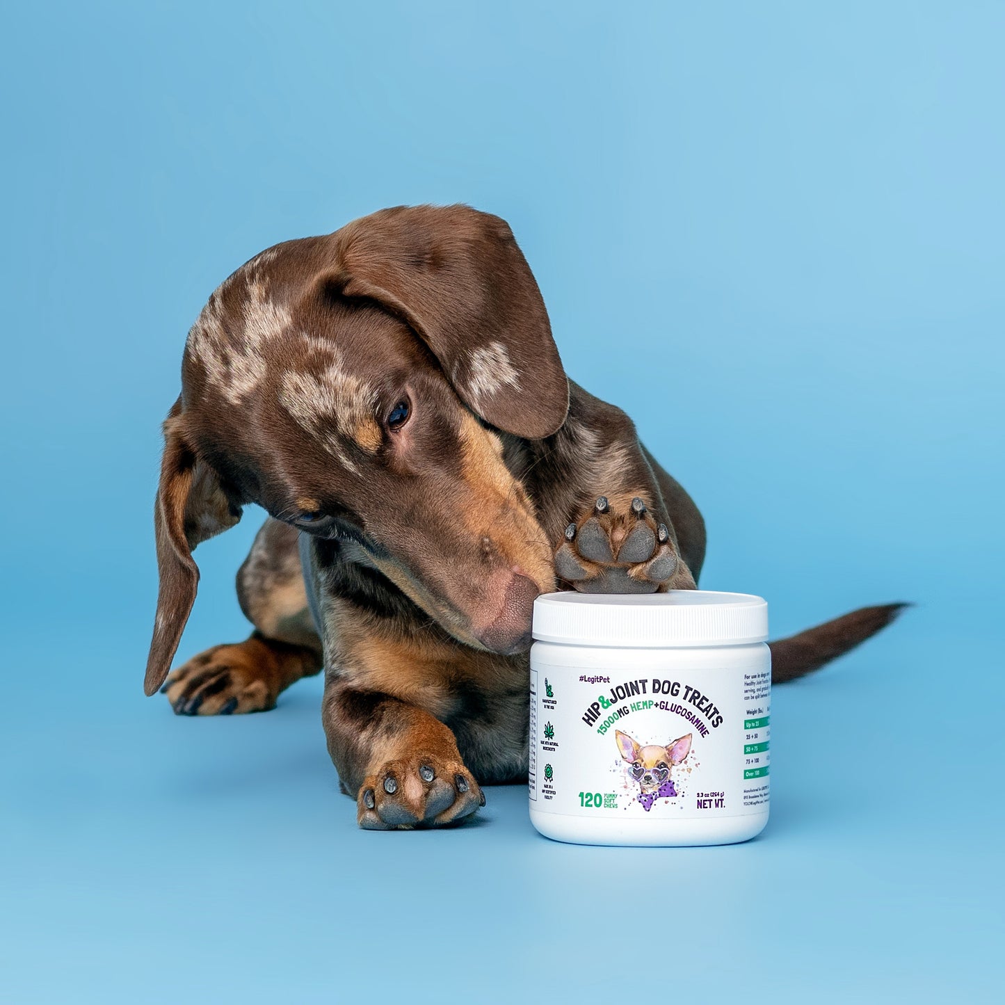 Hip & Joint Chews for Dogs 🐶