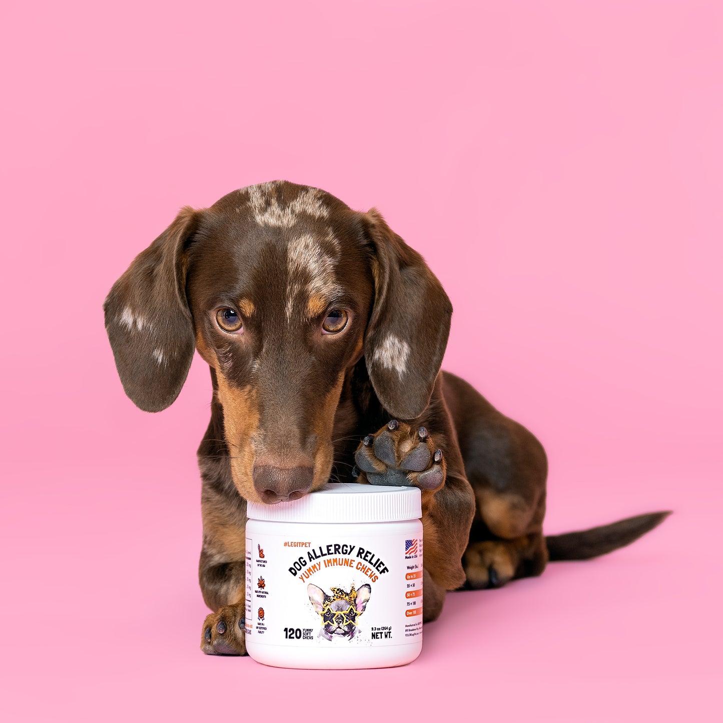 Allergy Immune Chews for Dogs