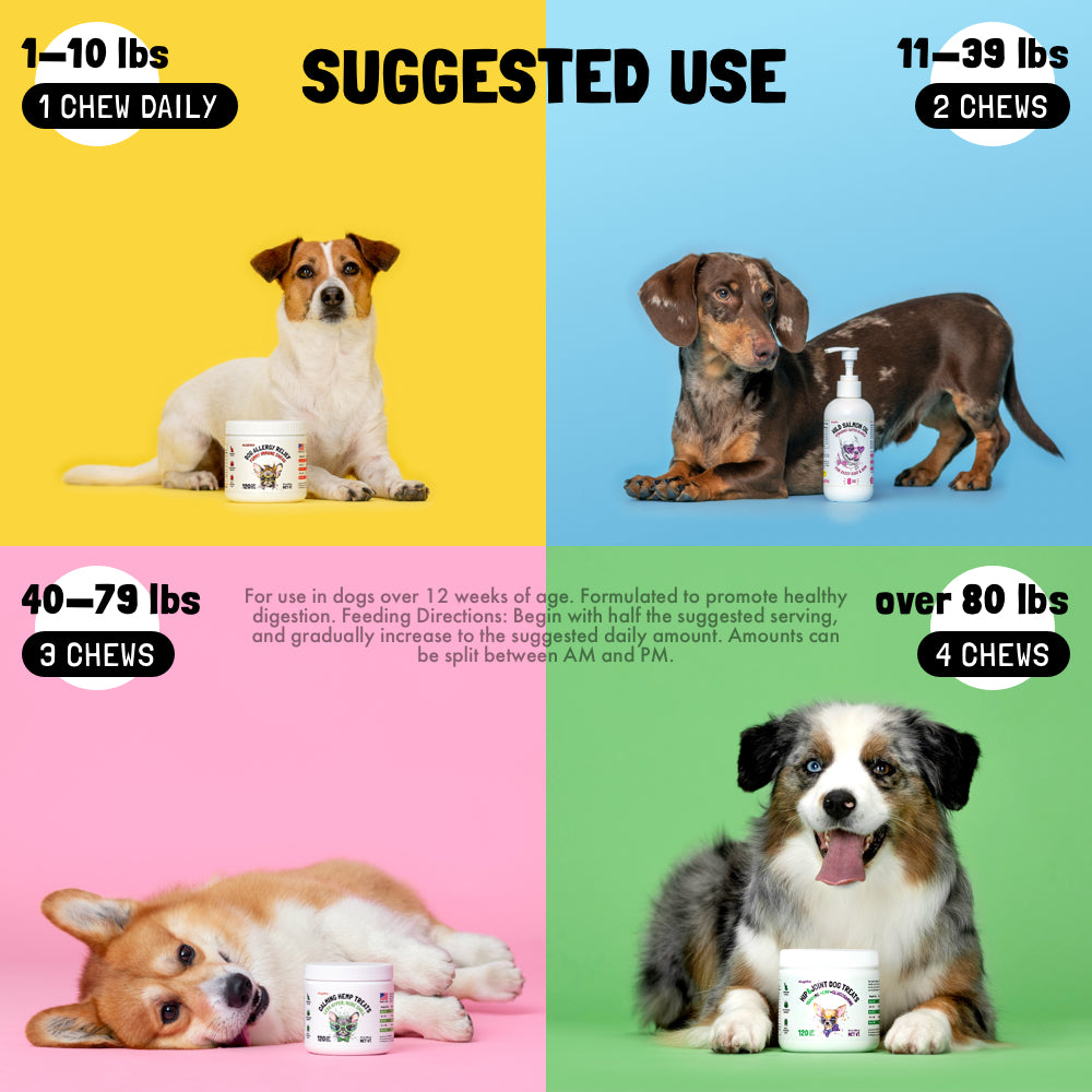 Allergy Immune Chews for Dogs