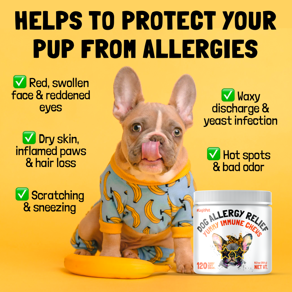 Allergy Immune Chews for Dogs