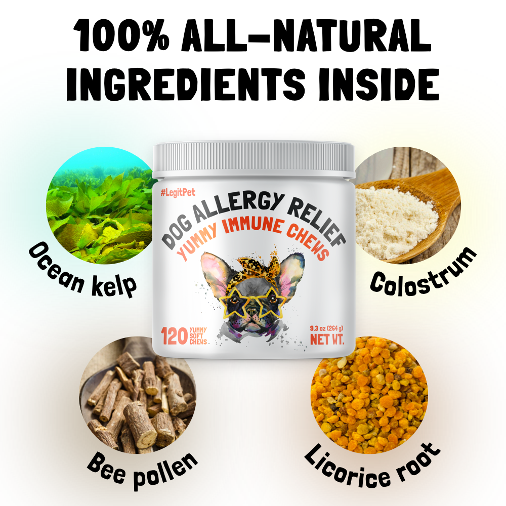 Allergy Immune Chews for Dogs