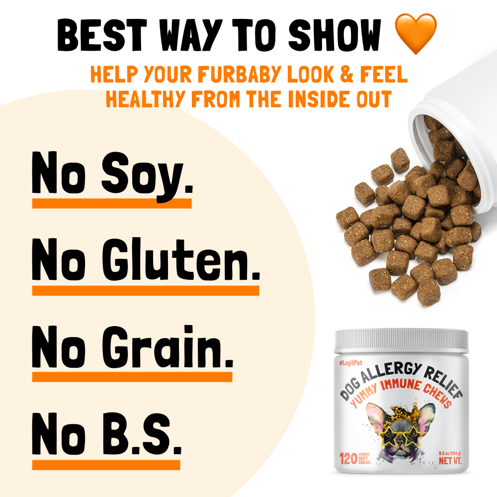 Allergy Immune Chews for Dogs