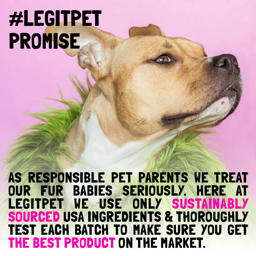 Probiotic for Dogs - with Natural Digestive Enzymes