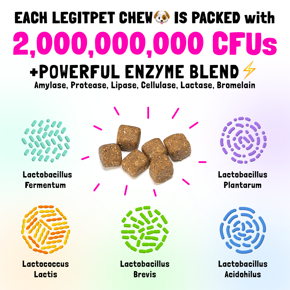 Probiotic for Dogs - with Natural Digestive Enzymes