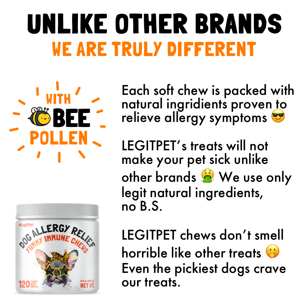 Allergy Immune Chews for Dogs
