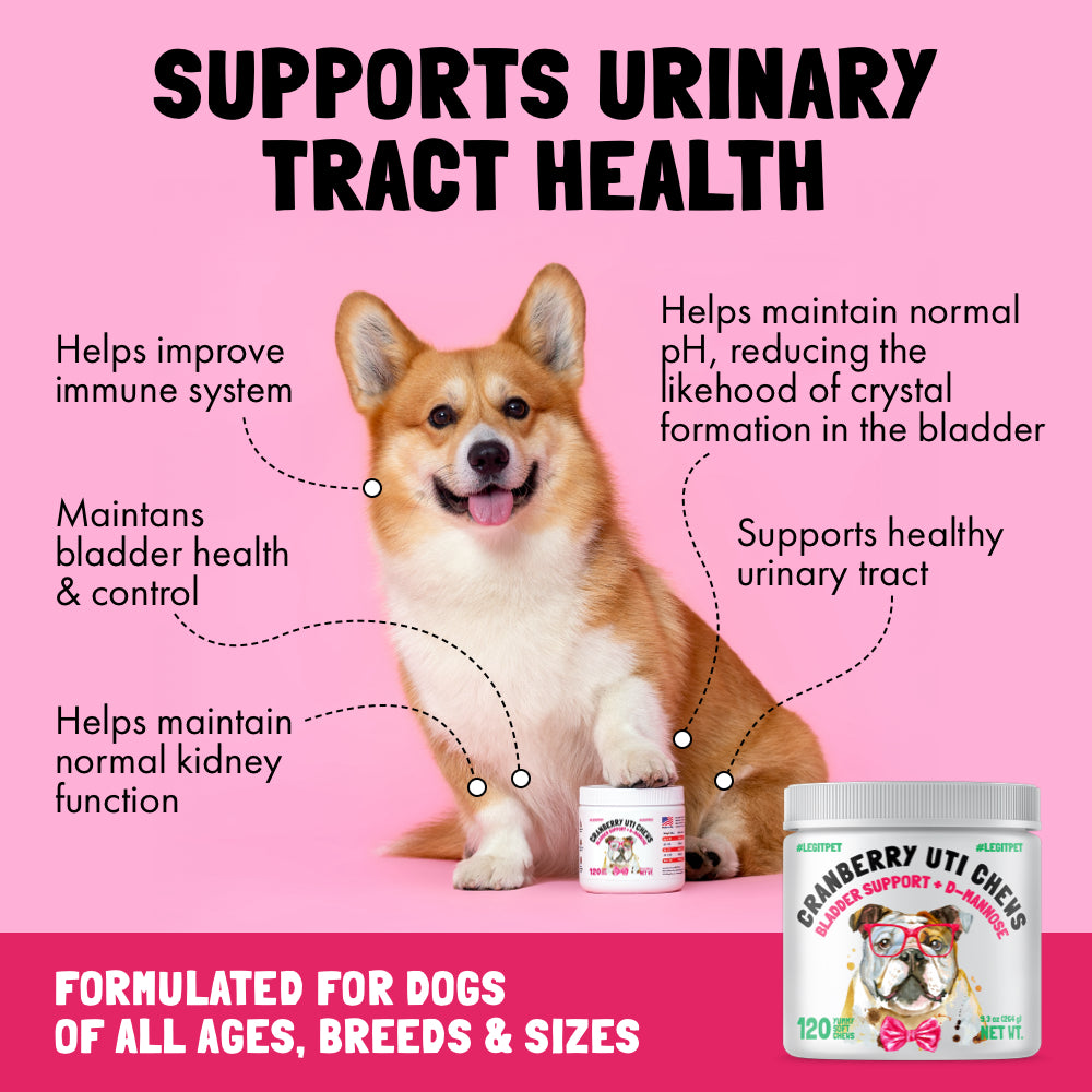 Cranberry UTI Chews for Dogs Bladder Suppot + D-Mannose Supports Kidney Urinary Tract and Bladder Health