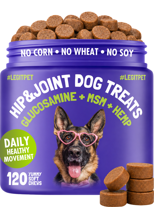 Hip & Joint Chews for Dogs 🐶