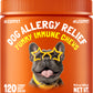 Allergy Immune Chews for Dogs