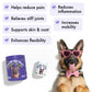 Hip & Joint Chews for Dogs 🐶