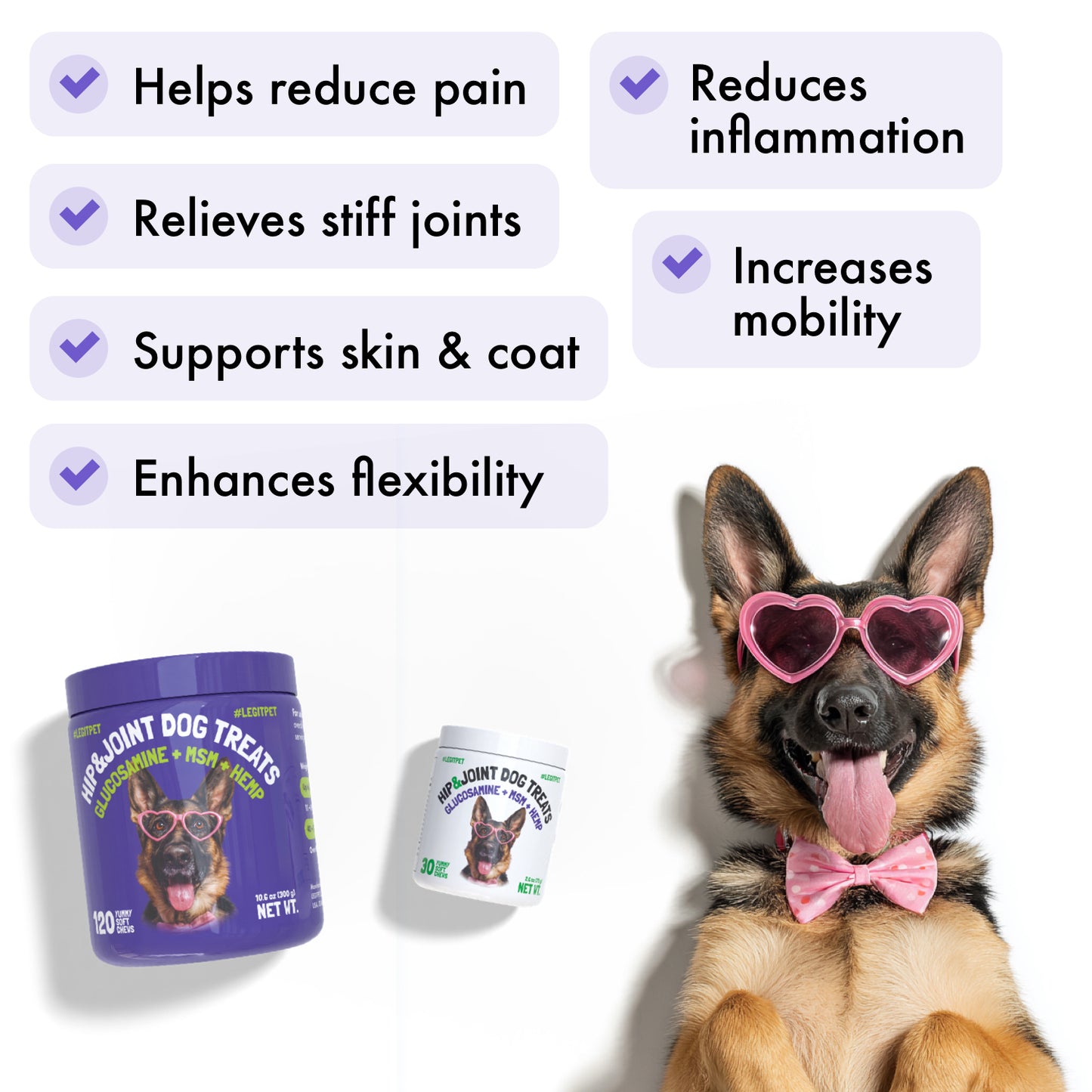 Hip & Joint Chews for Dogs 🐶