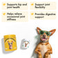 Turmeric Curcumin Hip & Joint Dogs Chew Support for Arthritis & Mobility with Collagen & BioPerine