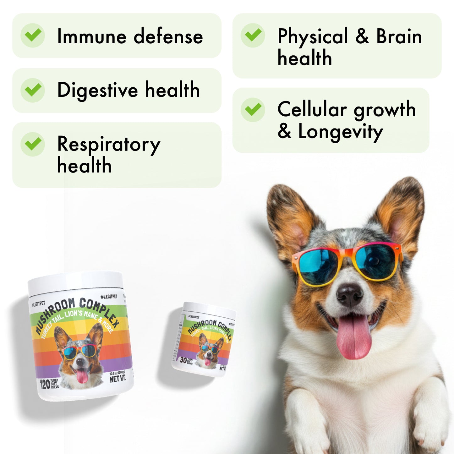 Mushroom Complex Treats for Dogs with Reishi Shiitake and Turkey Tail Mushrooms