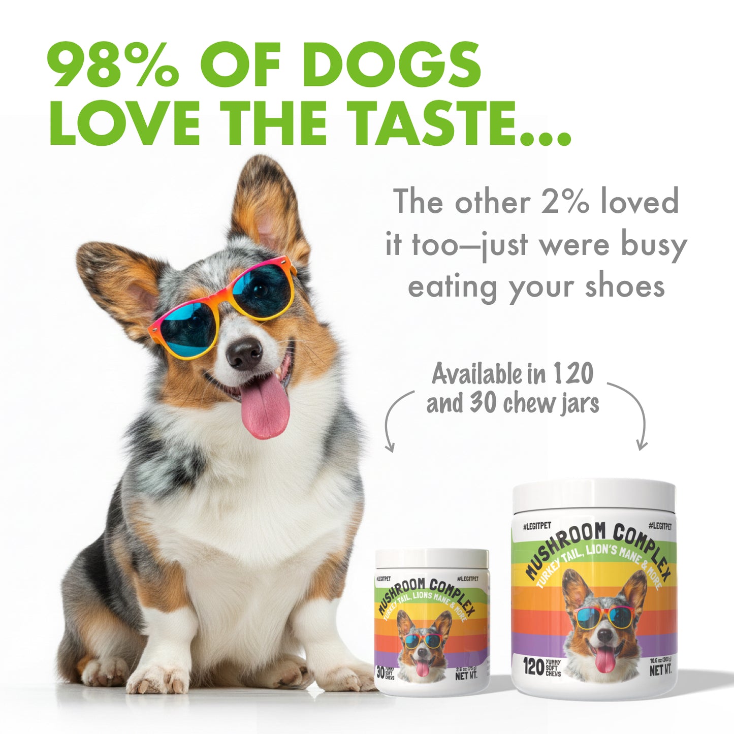 Mushroom Complex Treats for Dogs with Reishi Shiitake and Turkey Tail Mushrooms