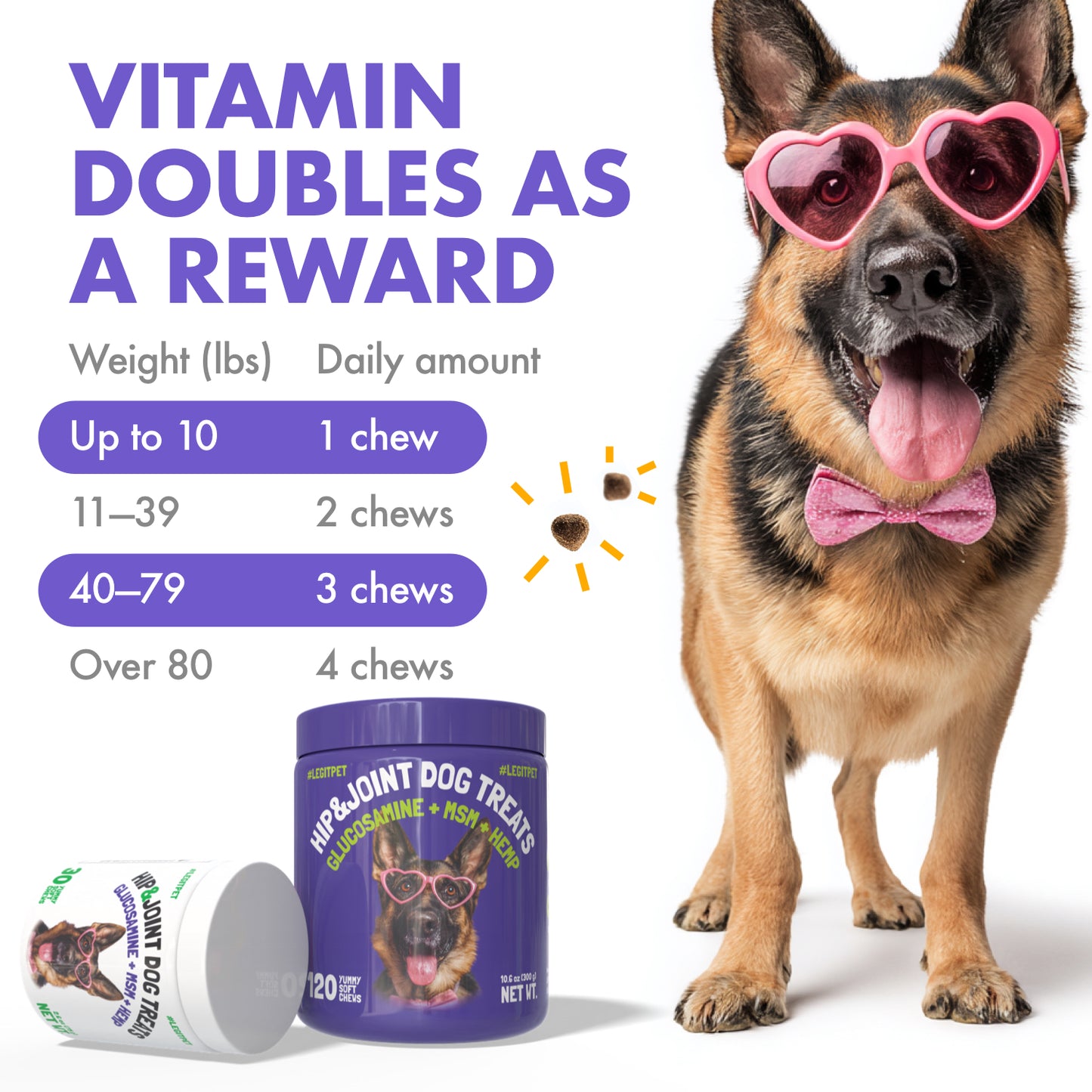 Hip & Joint Chews for Dogs 🐶