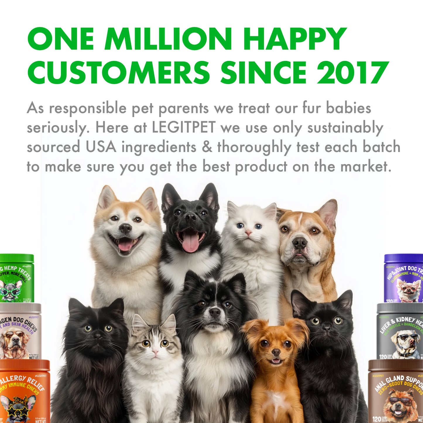 Calming Hemp Treats for Dogs with Chamomile