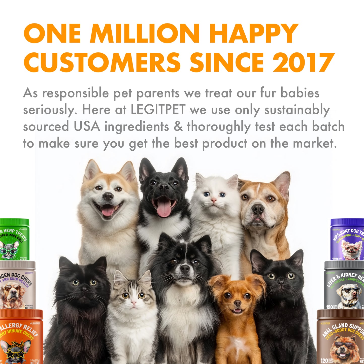Anal Gland Support chew for dogs