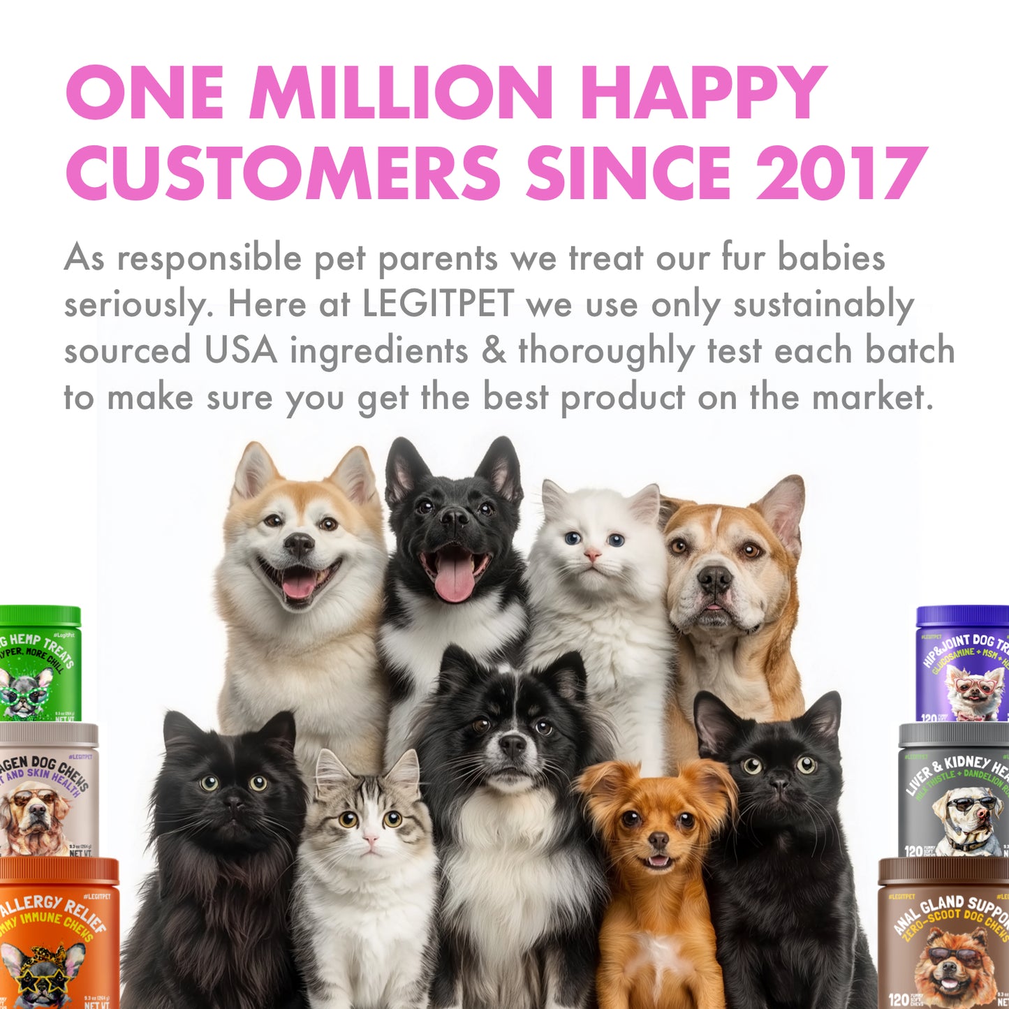 Probiotic for Dogs - with Natural Digestive Enzymes