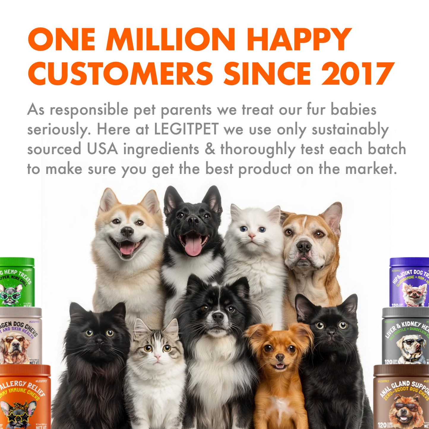 Allergy Immune Chews for Dogs