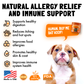 Allergy Immune Chews for Dogs