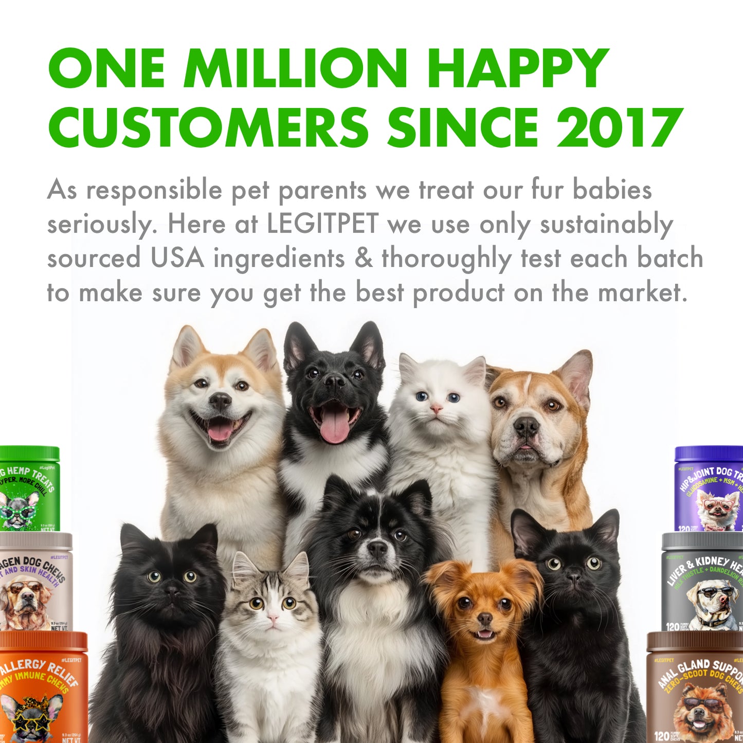 Calming Crunchy Chews for Cats with L-Theanine & L-Tryptophan, 500 treats