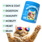 Multivitamin cat treats for daily health support