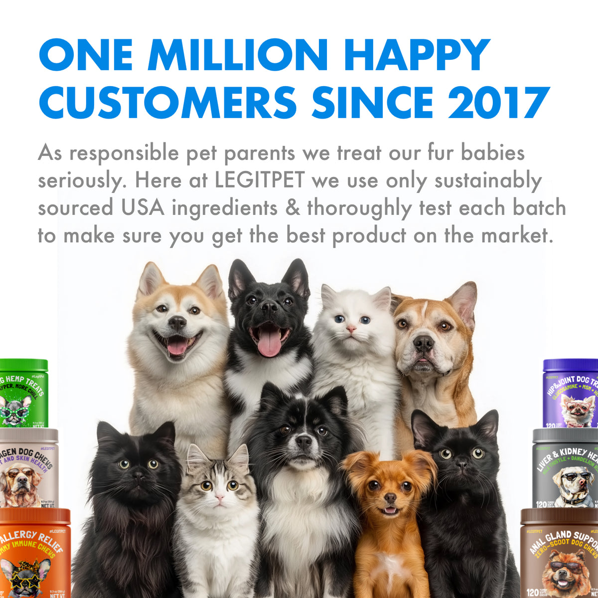 Multivitamin Cat  Crunchy Treats Daily Vitamins with Taurine, Omega 3 & L-Lysine, Chicken Flavor, 500 Crunchy Pillows