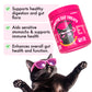 Probiotic Cat Treats Digestive Support with Pumpkin & Papaya
