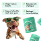 Dog Dental Powder Clean & Fresh Teeth with Kelp & Calcium 80 Scoops
