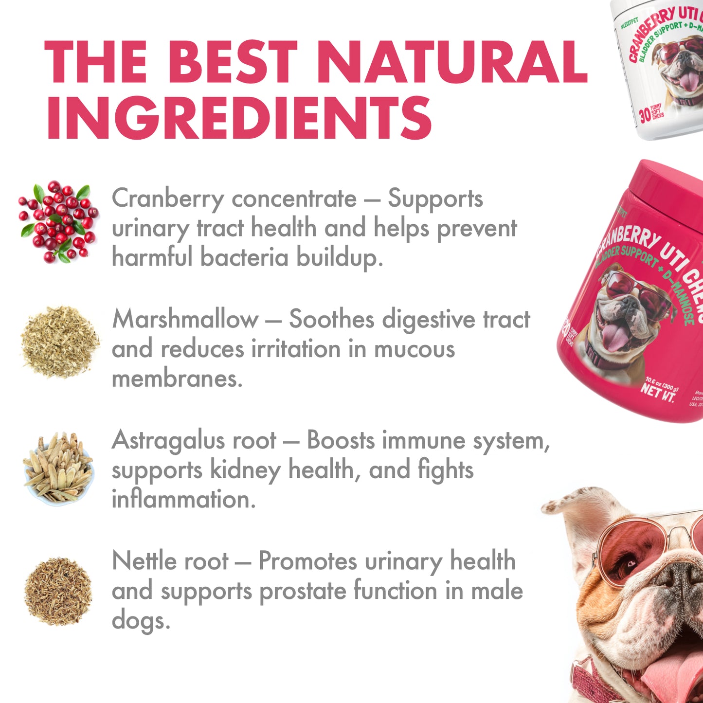 Cranberry UTI Chews for Dogs Bladder Suppot + D-Mannose Supports Kidney Urinary Tract and Bladder Health