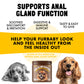 Anal Gland Support chew for dogs