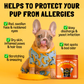 Allergy Immune Chews for Dogs