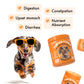 Pumpkin Powder for Dogs Digestive & Stool Support , Gut Health & Regular Digestion, 60 Scoops
