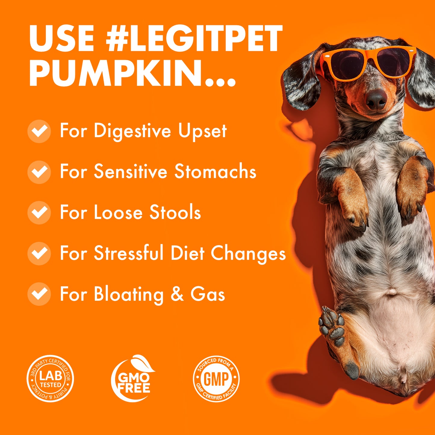 Pumpkin Powder for Dogs Digestive & Stool Support , Gut Health & Regular Digestion, 60 Scoops