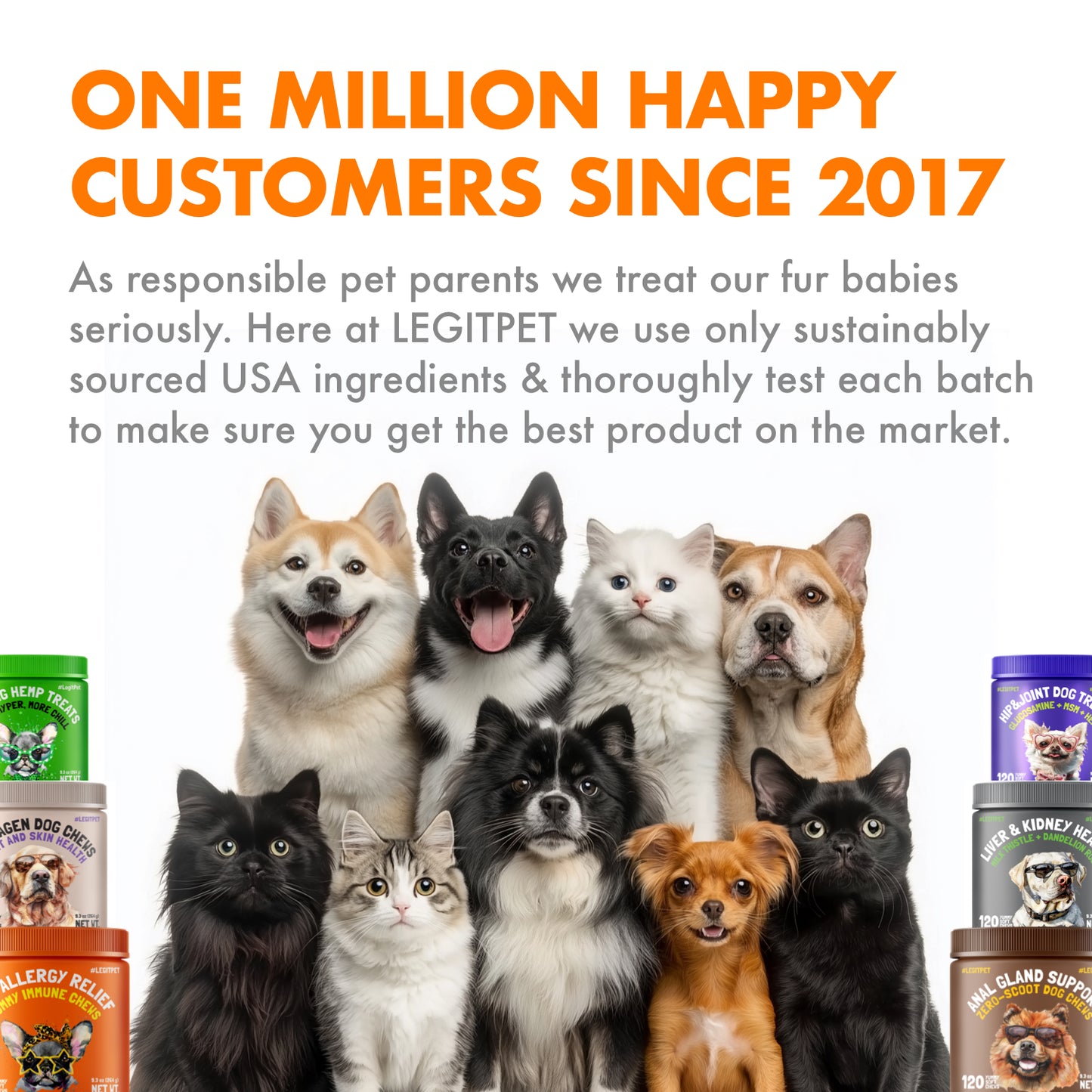 Pumpkin Powder for Dogs Digestive & Stool Support , Gut Health & Regular Digestion, 60 Scoops