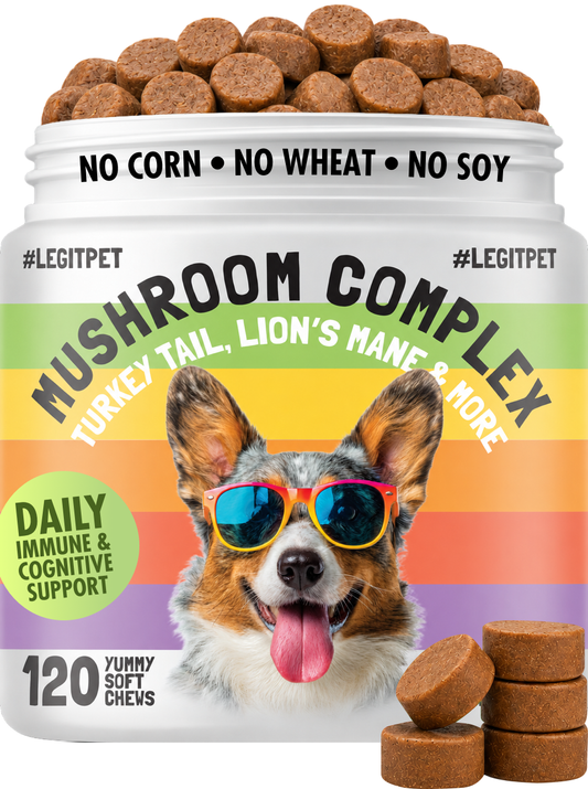 Mushroom Complex Treats for Dogs with Reishi Shiitake and Turkey Tail Mushrooms