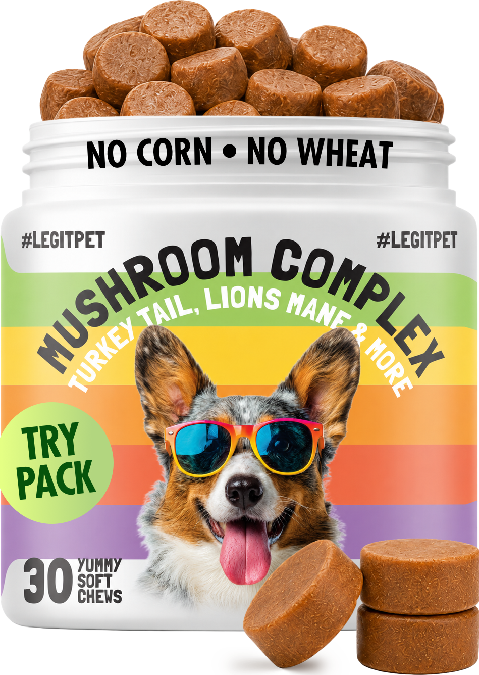 Mushroom Complex Treats for Dogs with Reishi Shiitake and Turkey Tail Mushrooms