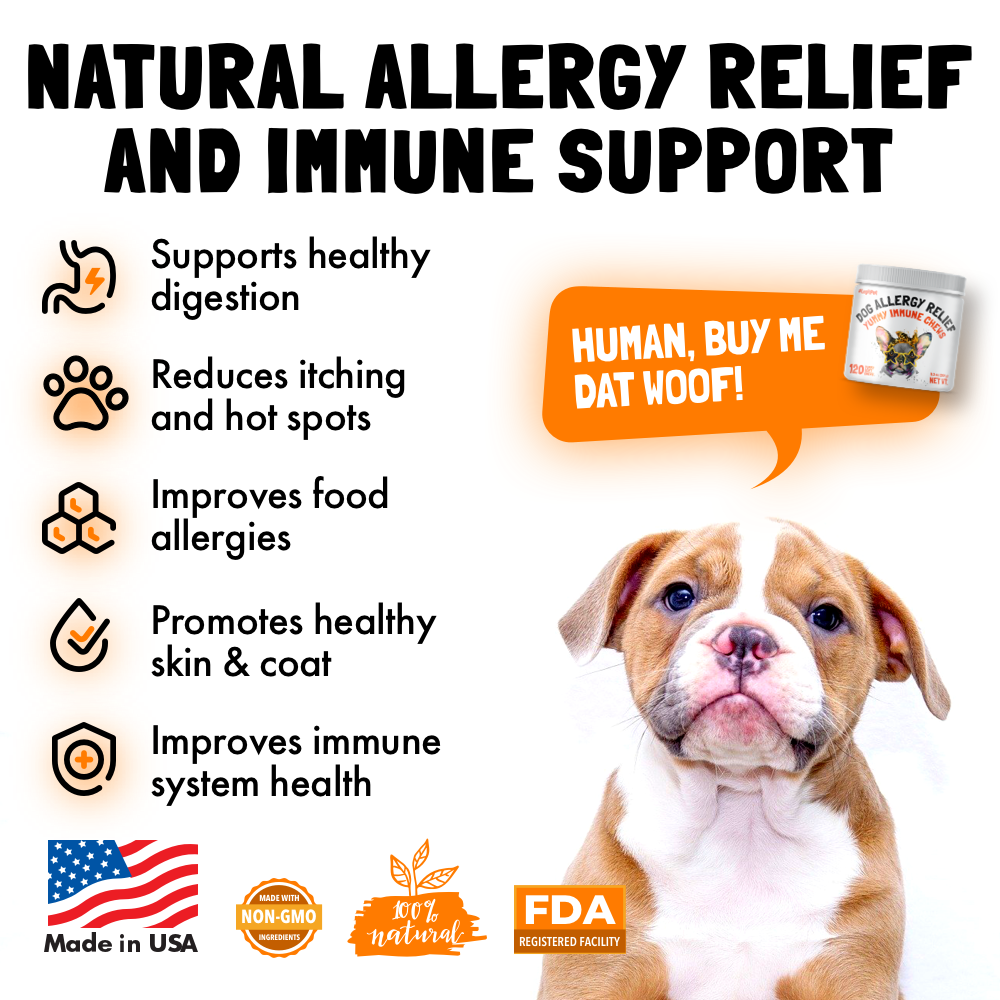 Allergy Immune Chews for Dogs