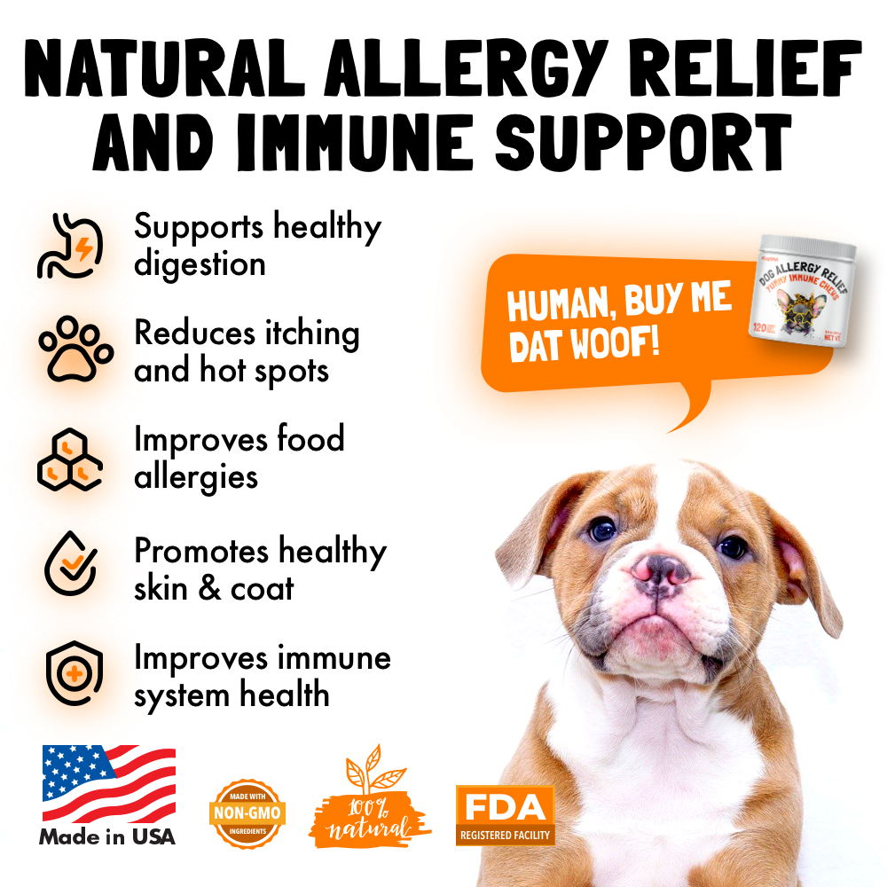 Allergy Immune Chews for Dogs legitpet
