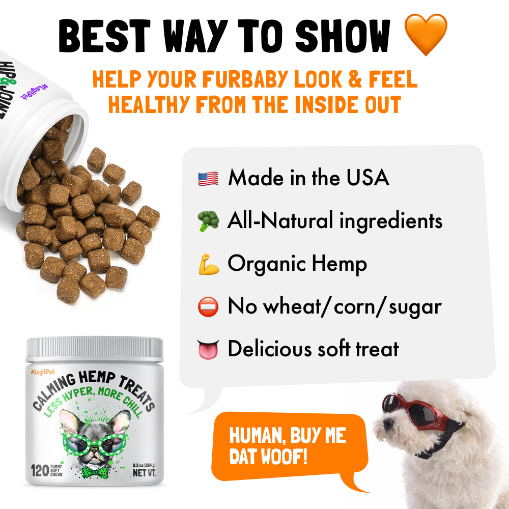 Best hemp outlet treats for dogs