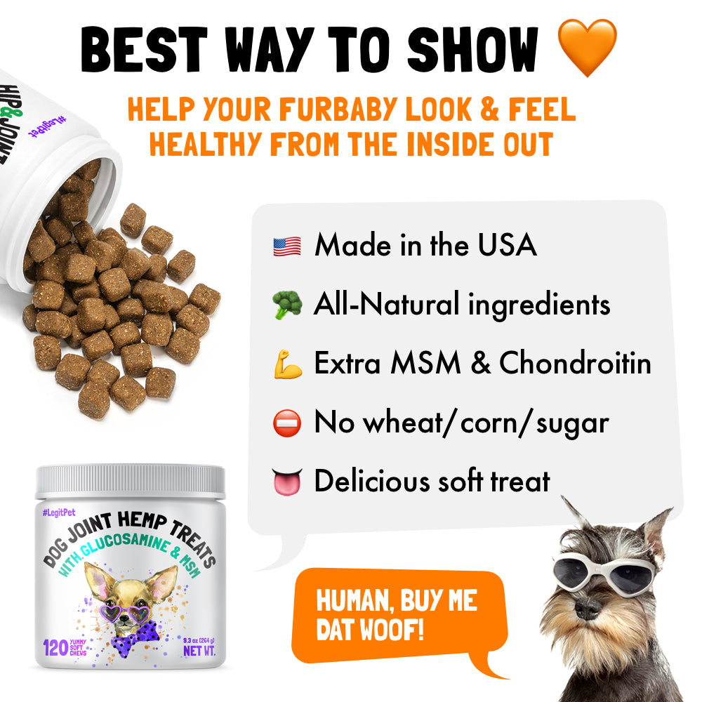 Hip & Joint Chews for Dogs 🐶