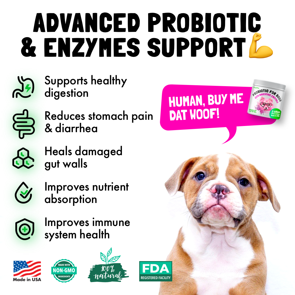 Probiotic for Dogs - with Natural Digestive Enzymes
